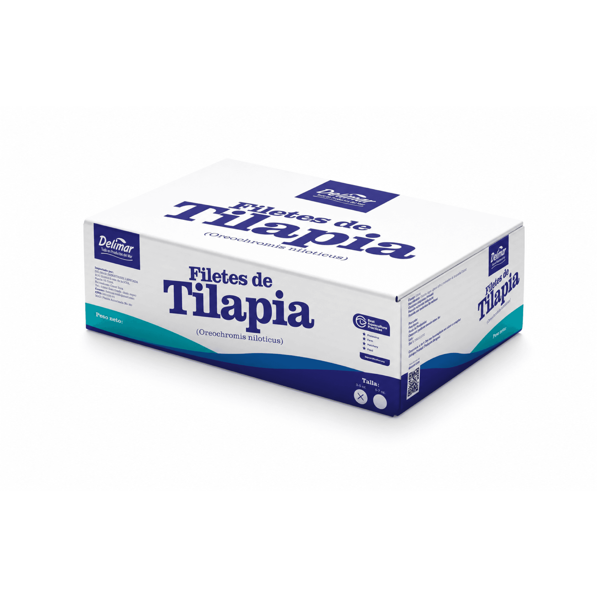 Tilapia Cultivo