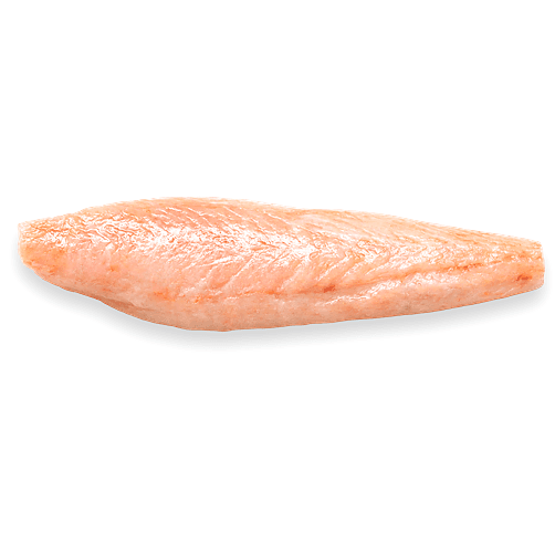 Corvina Aguada Filete