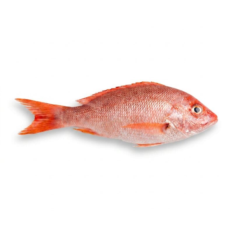 Pargo Entero