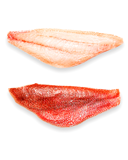 Pargo Filete
