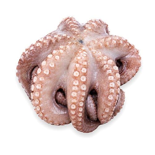 Pulpo Entero