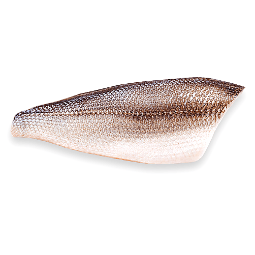 Robalo Filete con piel
