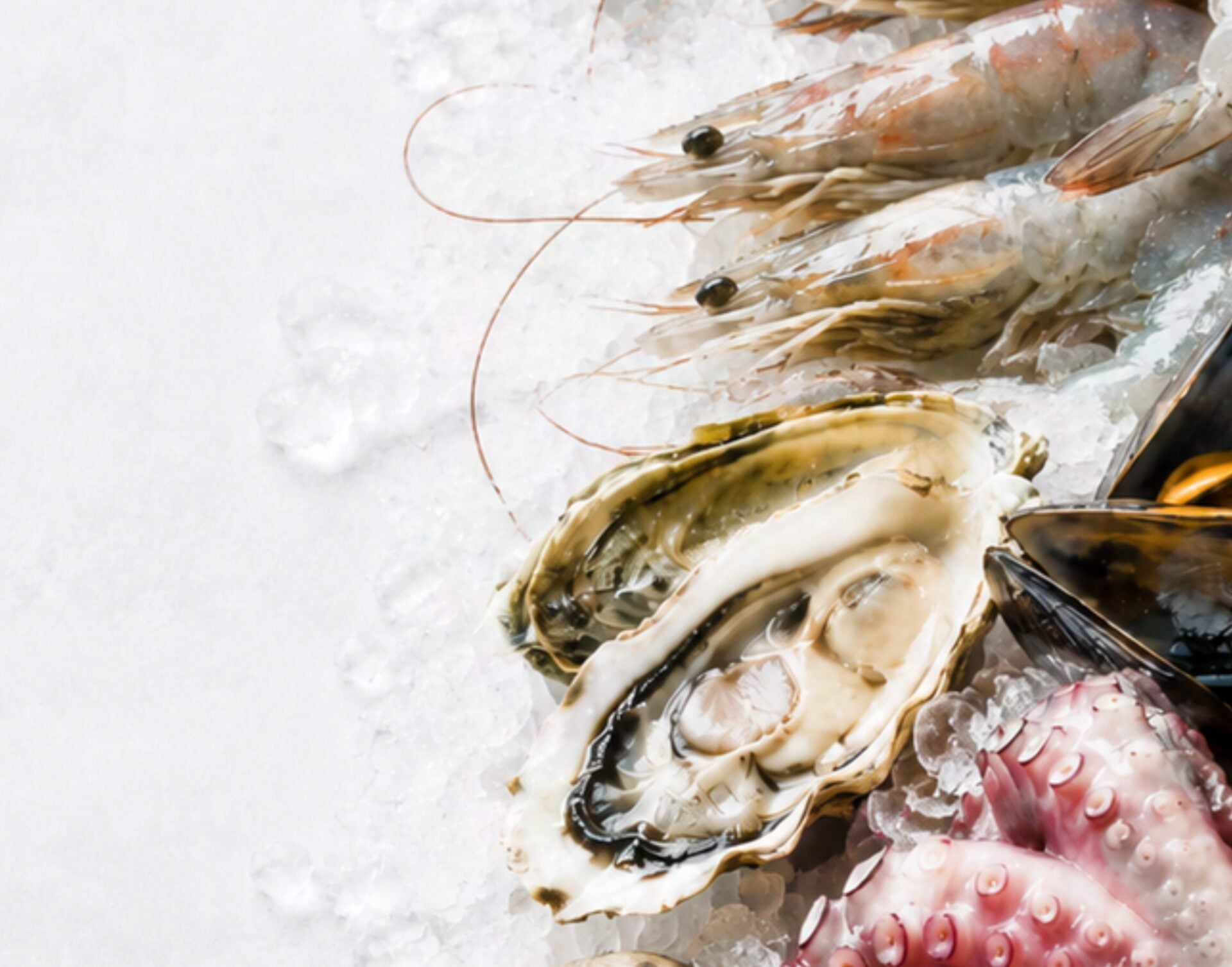 Mariscos frescos sobre hielo