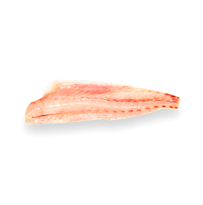 Corvina Reina Filete