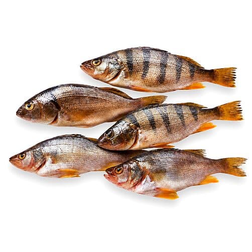 Pescado Mixto Entero