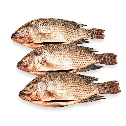 Tilapia Entera